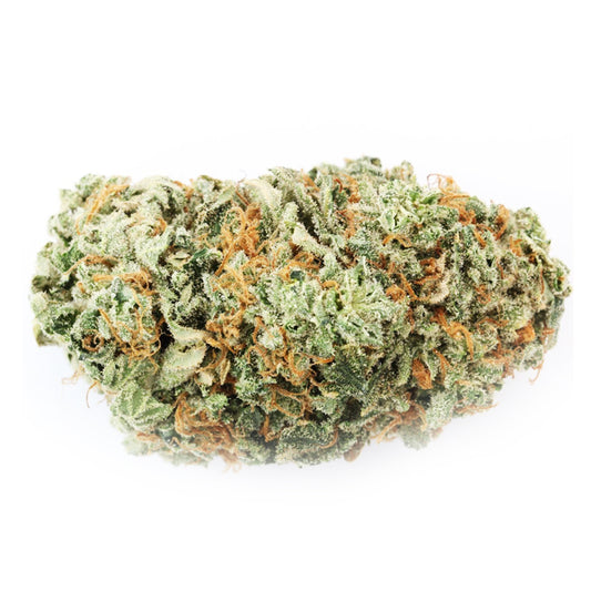 G13 - 5 cannabis seeds