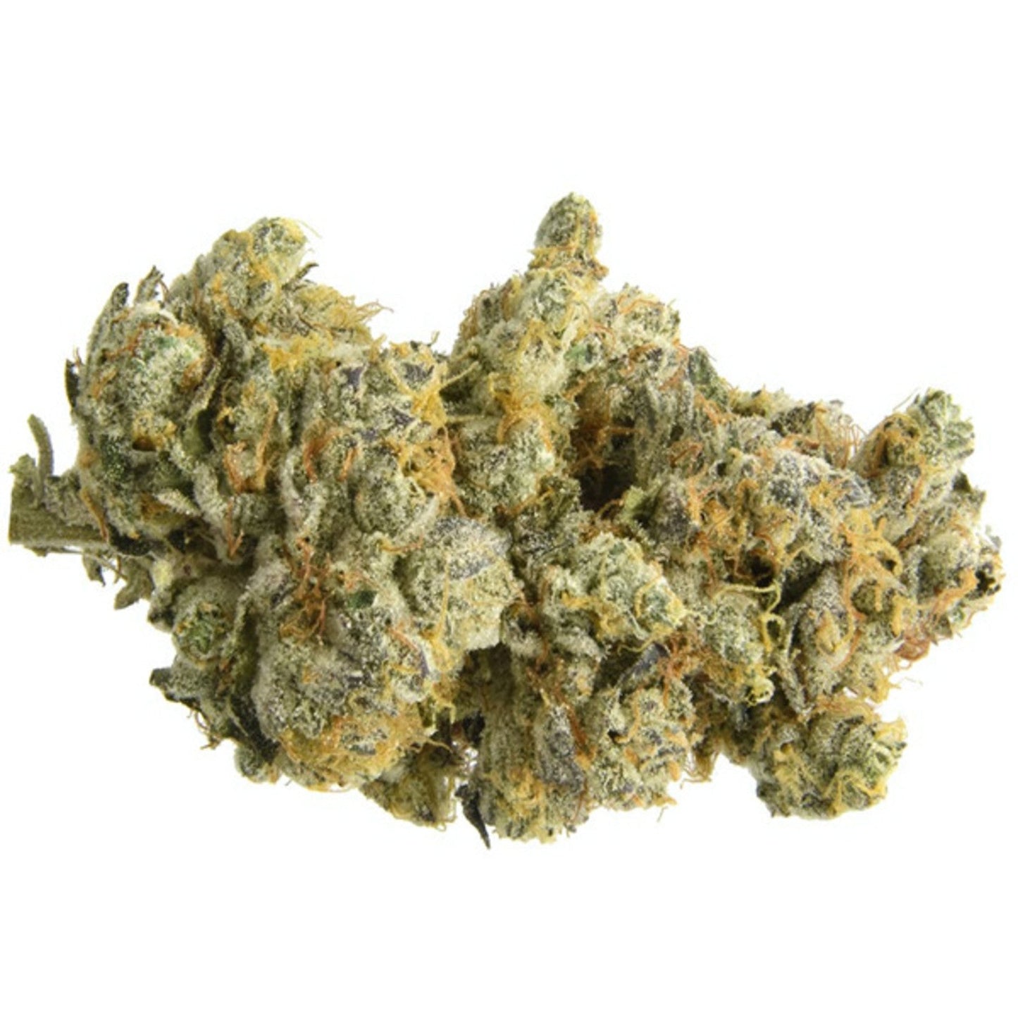 Auto GMO Cookies - 5 wietzaden