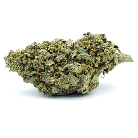 Auto Gorilla Glue #4 - 5 cannabis seeds