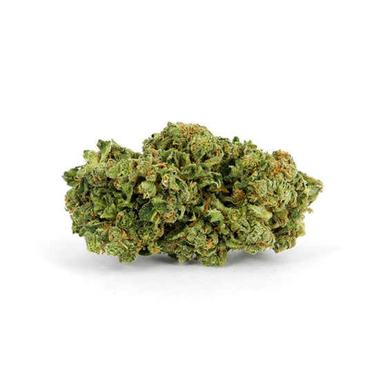 Auto Magnum - 5 cannabis seeds
