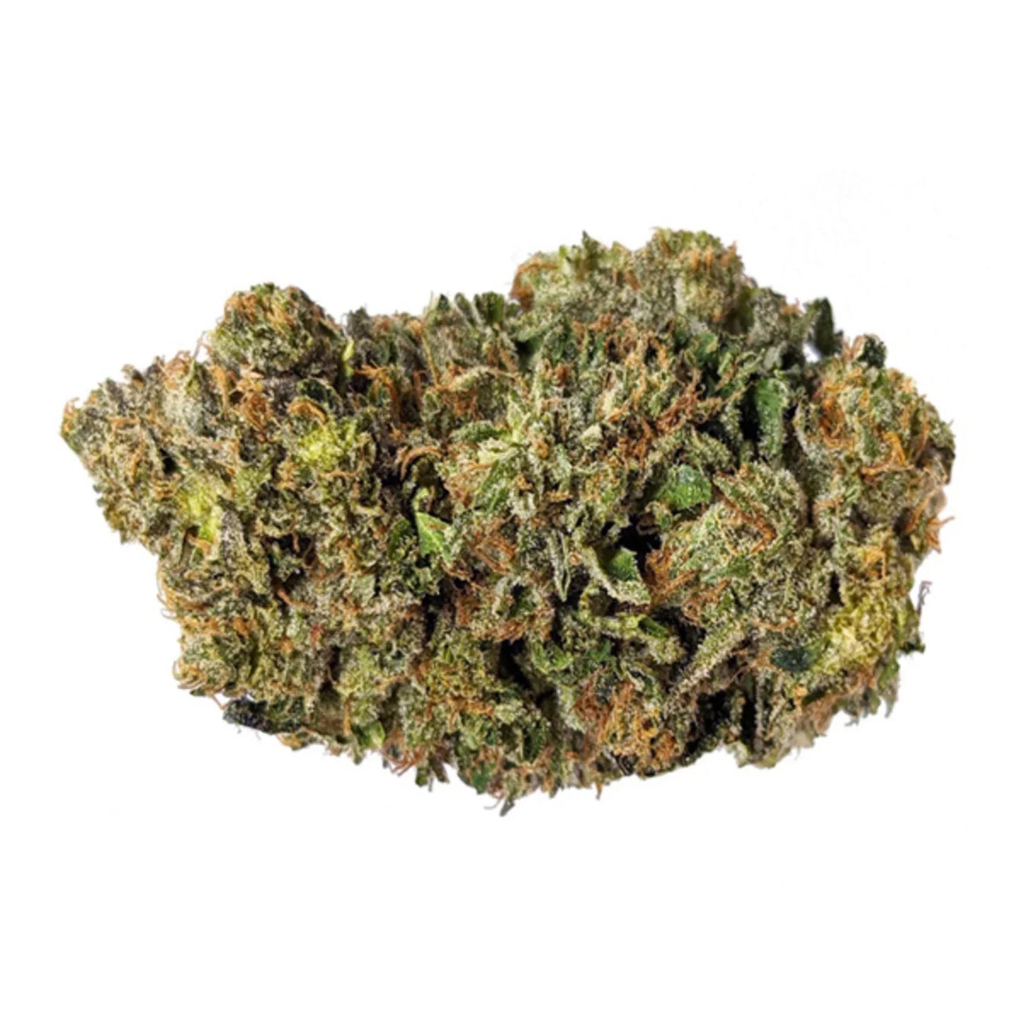 Bruce Banner - 5 wietzaden