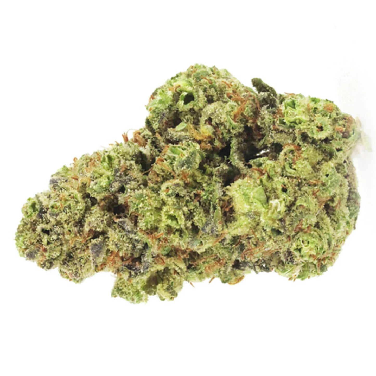 GMO Cookies - 5 cannabis seeds