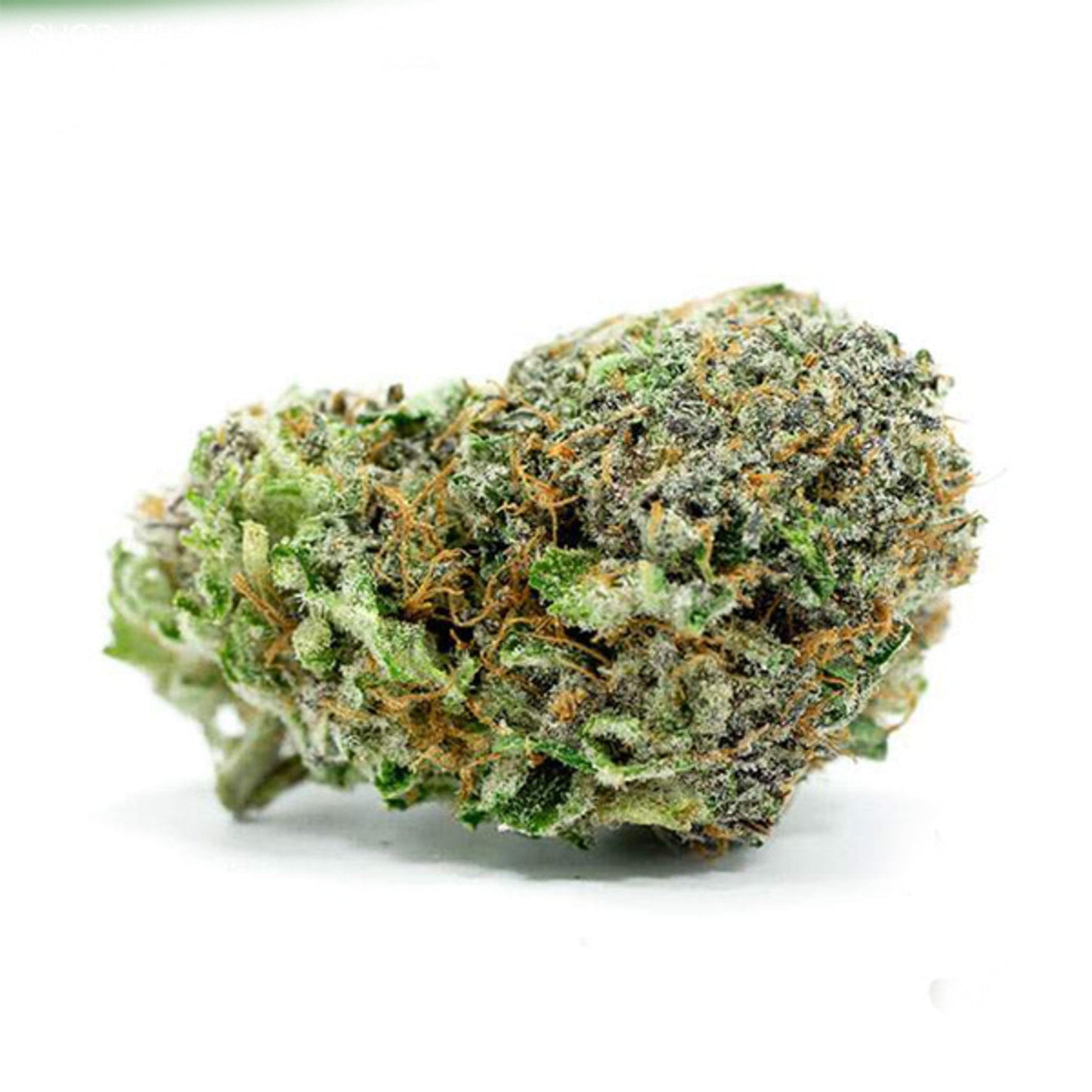 Green Crack Gorilla - 5 wietzaden